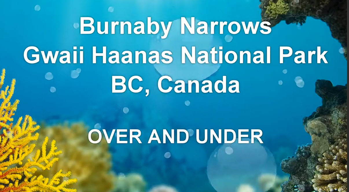 Burnaby Narrows